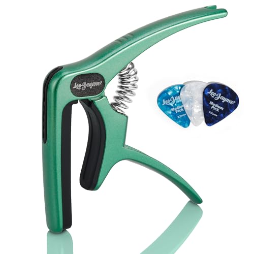 Guitar Clip 1
