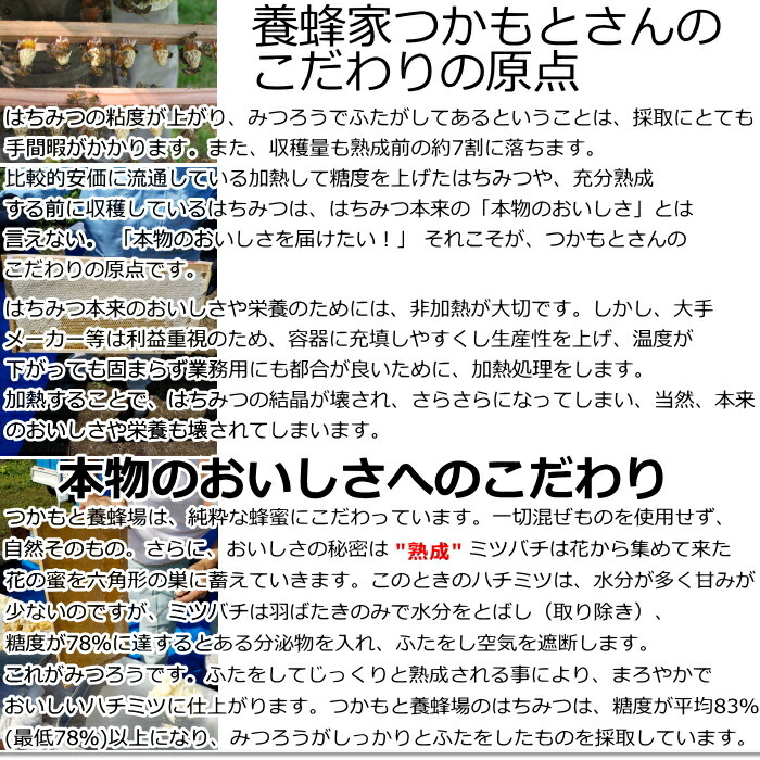 匠のはちみつ 蜂蜜 4セット 6