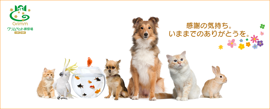 グリムペット葬祭場 1