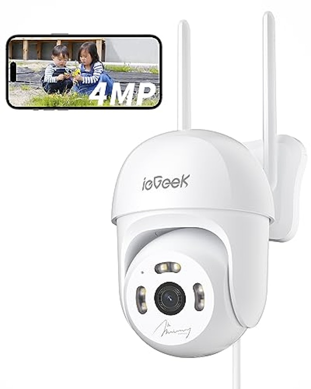 ieGeek 1