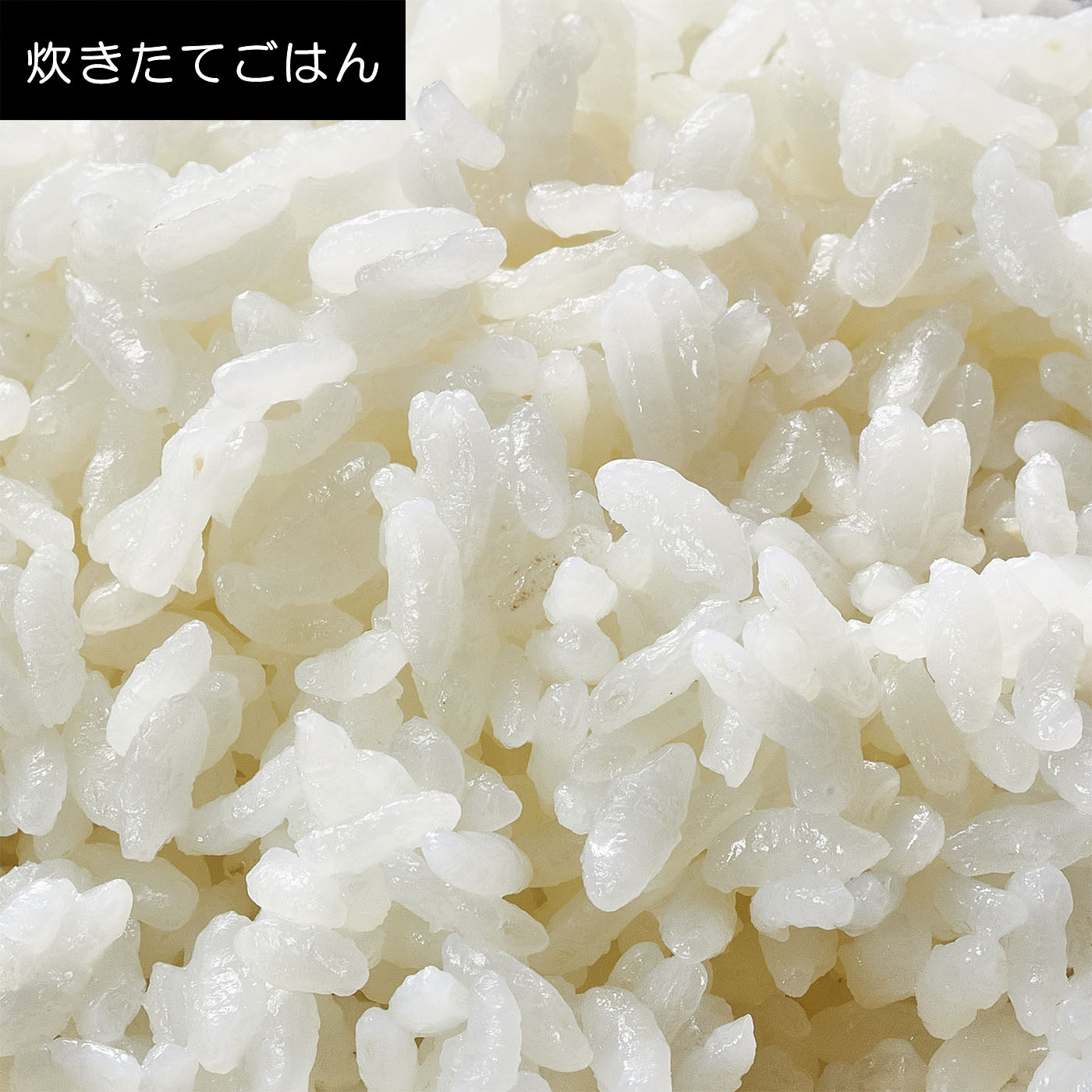 土鍋圧力IHジャー炊飯器 9