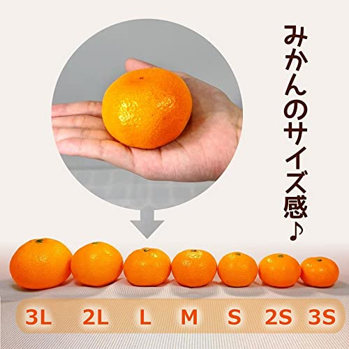 有田みかん 8