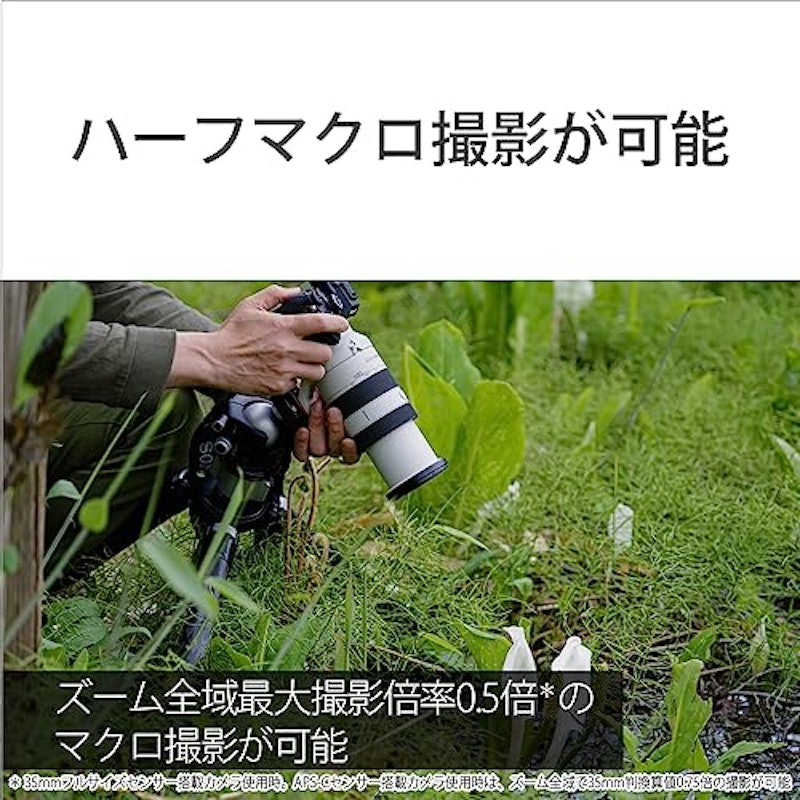 FE 70-200mm F4 Macro G OSS II 5