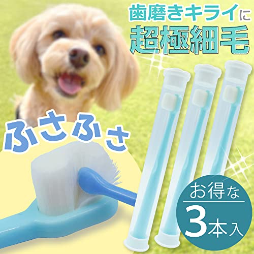 歯ブラシ 7