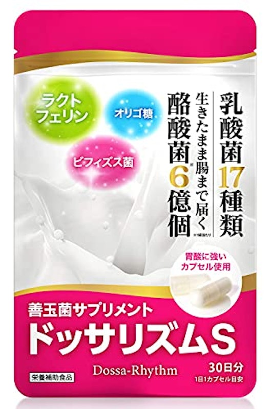 善玉菌サプリメント ドッサリズムS 1