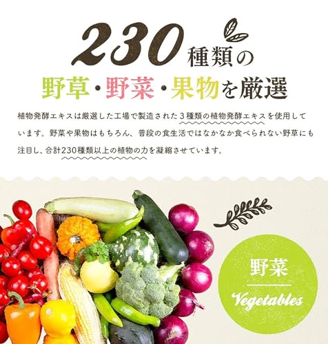 生酵素サプリメント  4