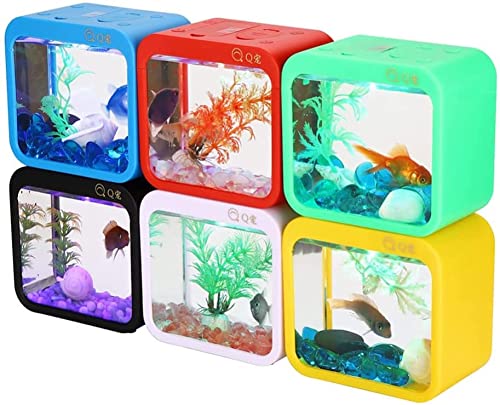 熱帯魚用水槽のおすすめ人気ランキング【2026年1月】 | マイベスト