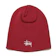 TSIホールディングス BASIC STÜSSY SKULLCAP 1