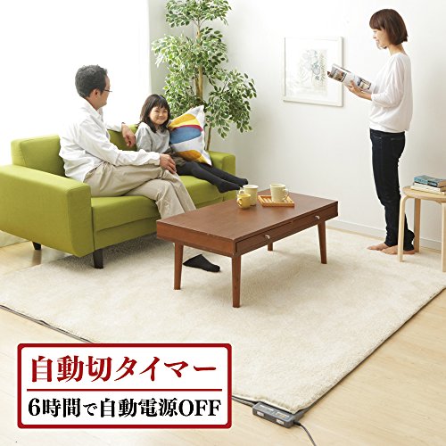 ホットカーペット ベーシック 5