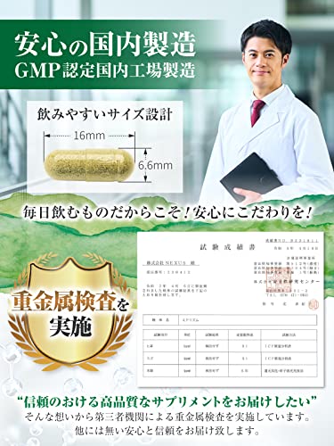 ミドリズム 3