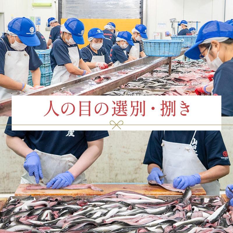 うなぎ蒲焼き 6