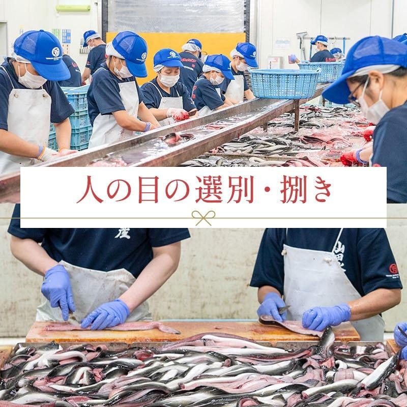 うなぎ蒲焼き 6