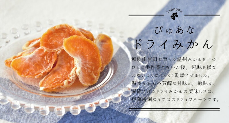 ドライフルーツ 有田みかん 2