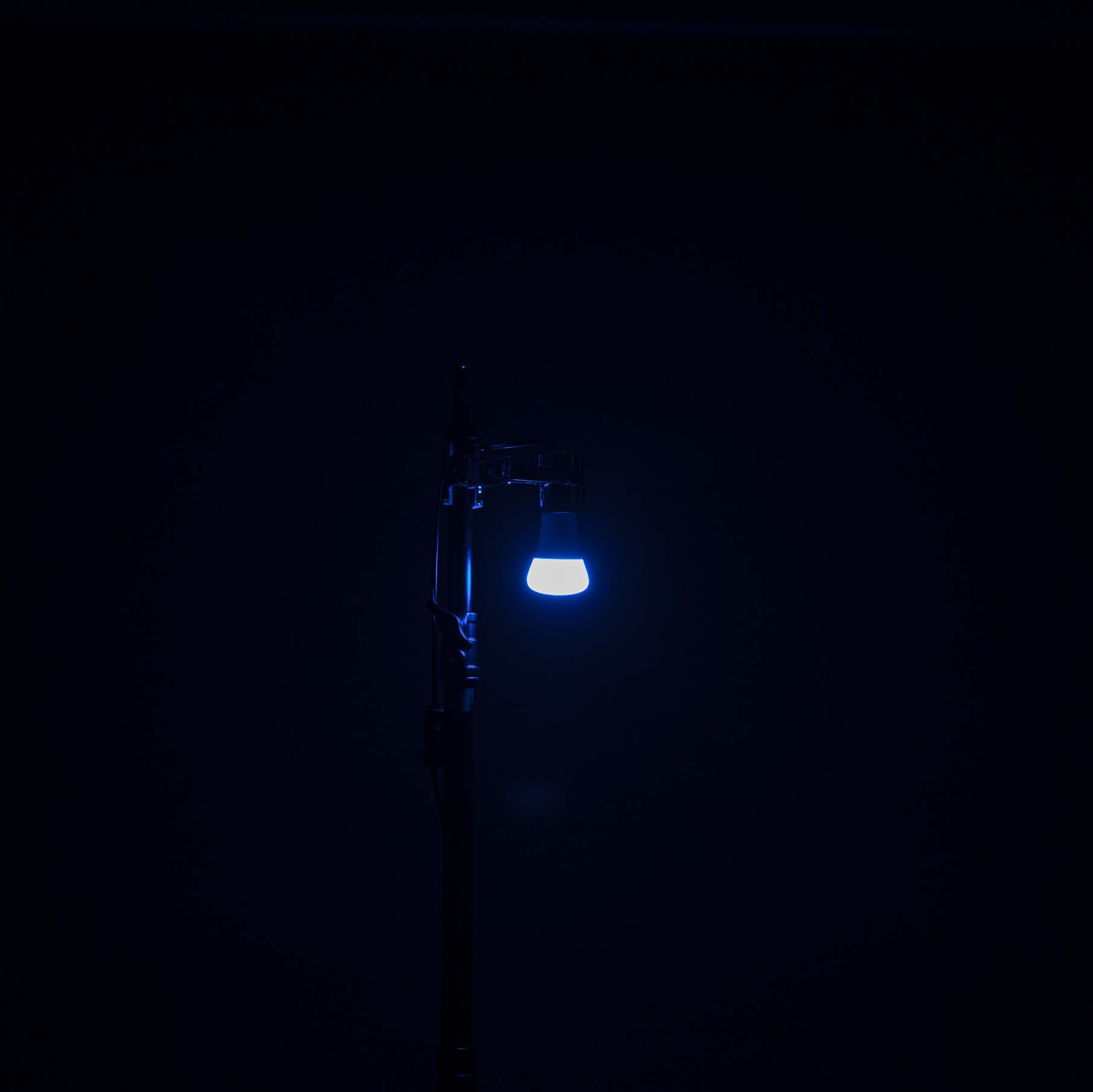 Hue 8