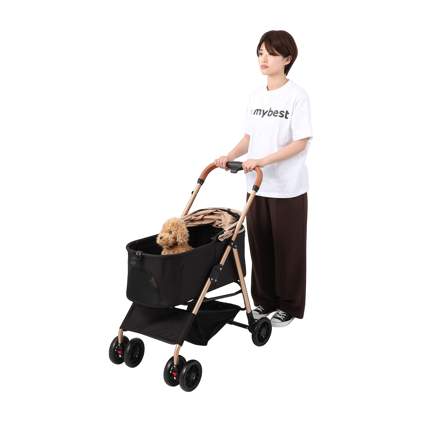 swift pet cart 3