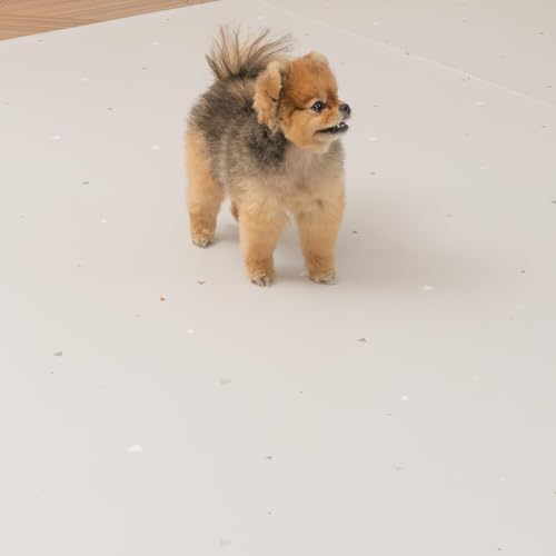 おしゃれな犬用ベッドのおすすめ人気ランキング【2026年10月】 4