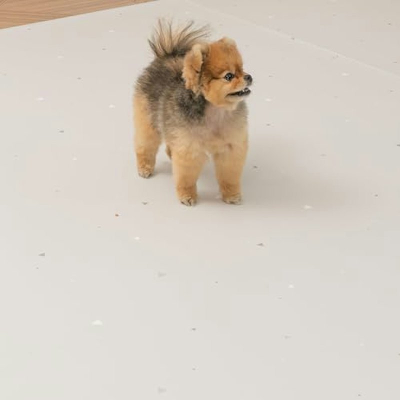 JoliBebe ペットマット 1