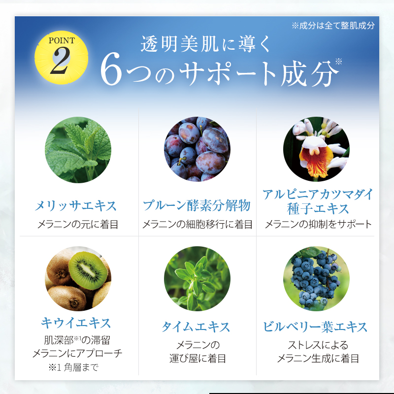 薬用 パイナップル豆乳ローションプレミアム美白 4