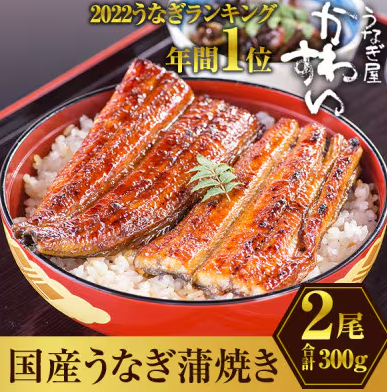国産うなぎ蒲焼セット 1