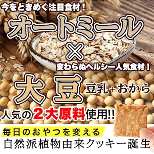 オートミール豆乳おからクッキー 3