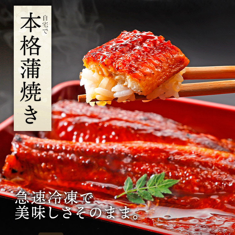 うなぎ蒲焼 8