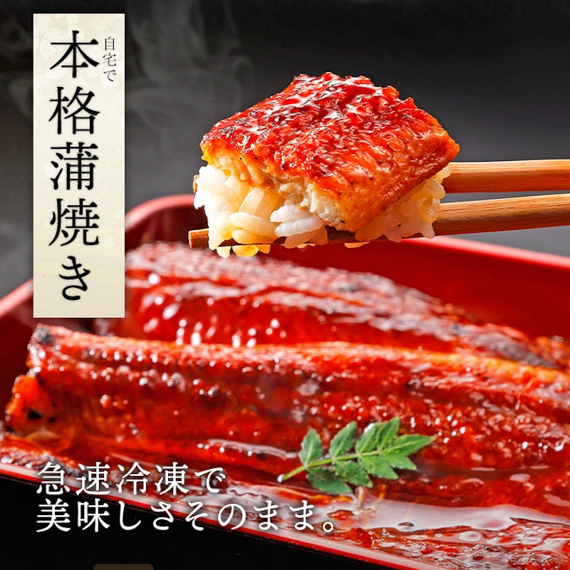 うなぎ蒲焼 8