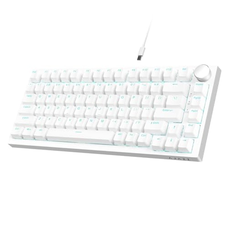 有線メカニカルキーボード 1