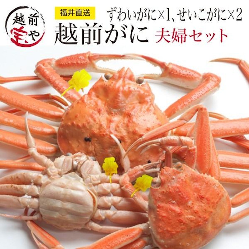 越前ガニ 夫婦セット 1