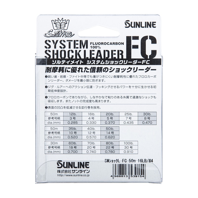 システムショックリーダー 2