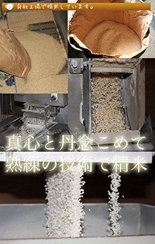 ゆめぴりか・ななつぼし 白米セット 5