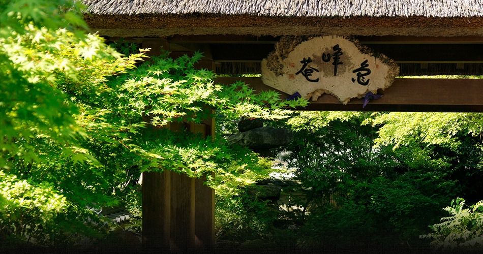 湯の花温泉 すみや亀峰菴 1