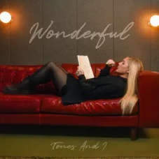 Wonderful 1