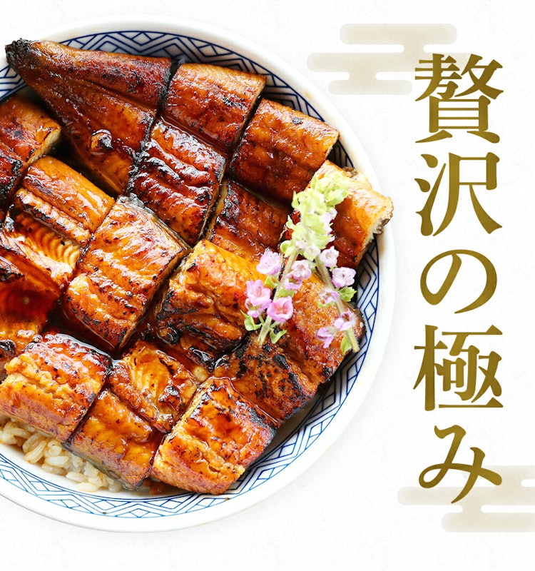 にほんうなぎ蒲焼き 9