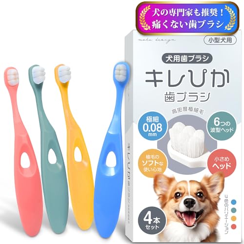 犬用歯ブラシ 1