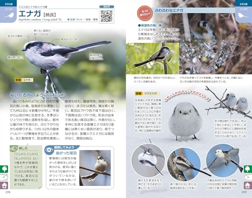 ぱっと見わけ 観察を楽しむ 野鳥図鑑 増補改訂版 4