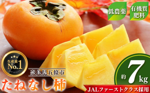たねなし柿 1