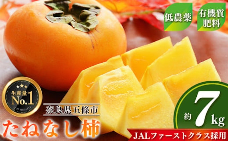 たねなし柿 1