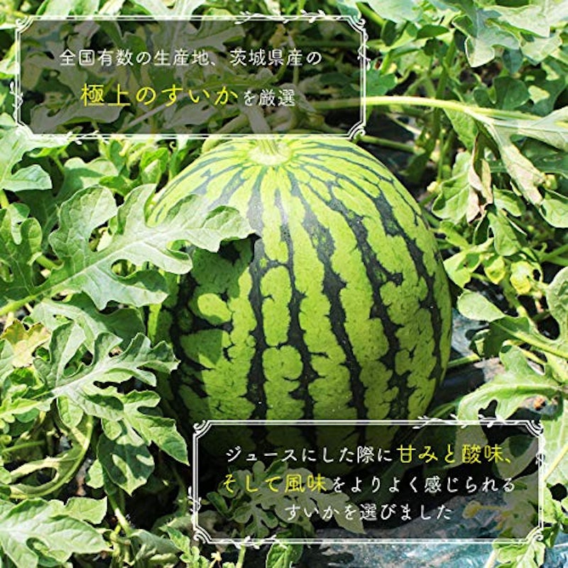 すいかジュース 3