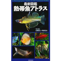 22年 熱帯魚図鑑のおすすめ人気ランキング10選 Mybest 22年 熱帯魚図鑑のおすすめ人気ランキング10選 Mybest