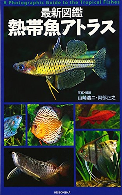 22年 熱帯魚図鑑のおすすめ人気ランキング10選 Mybest 22年 熱帯魚図鑑のおすすめ人気ランキング10選 Mybest
