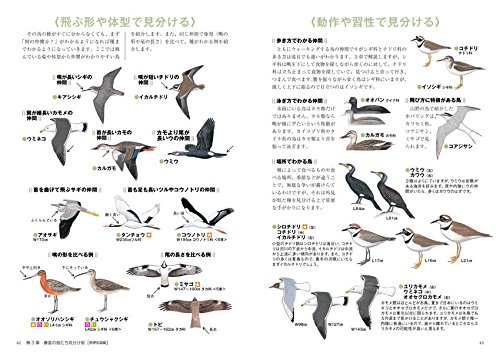 野鳥図鑑のおすすめ人気ランキング49選【2024年】 | マイベスト