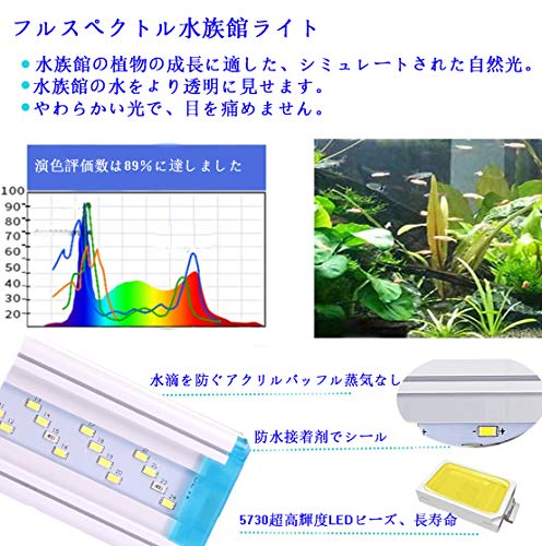 水槽ライト 2