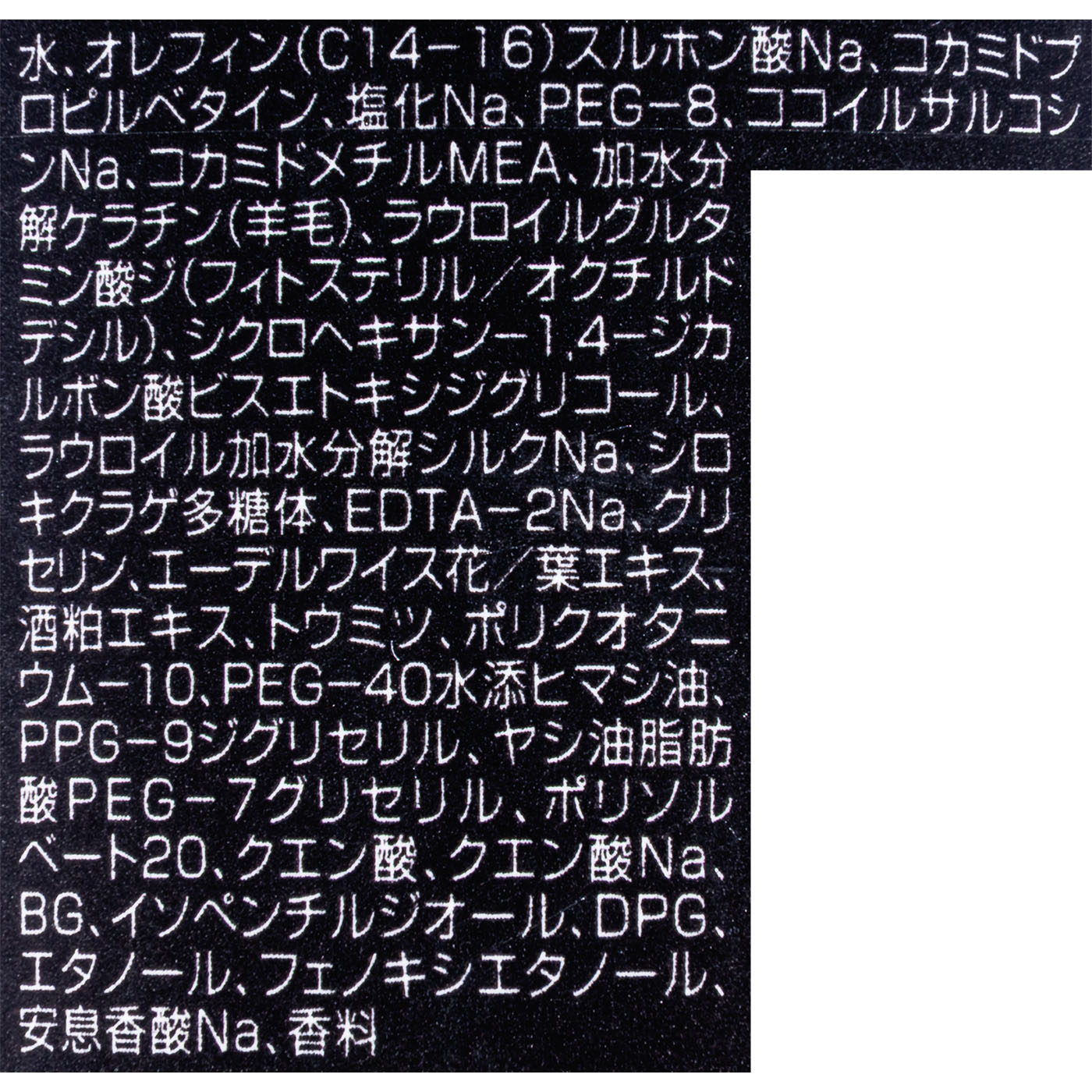 シャンプー EｘS 2