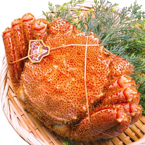 北海道産 毛がに 800g 1尾 1