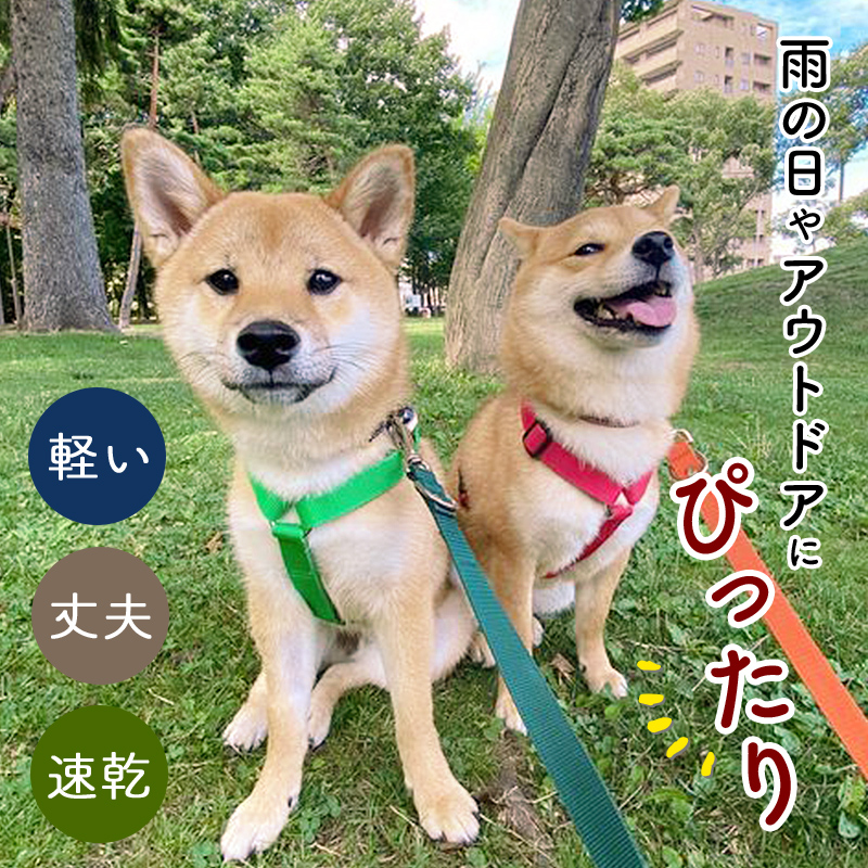 22年 小型犬用ハーネスのおすすめ人気ランキング28選 Mybest