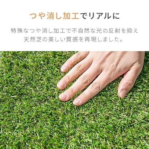 リアル人工芝 5