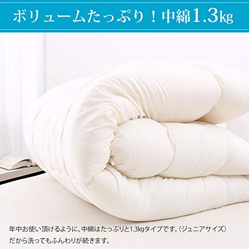 ほこりの出にくい洗える掛布団 5