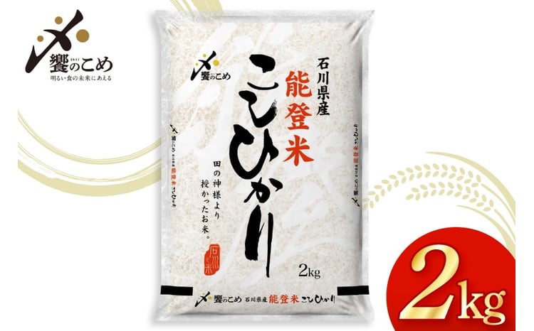 令和7年産 能登米こしひかり 2kg 1