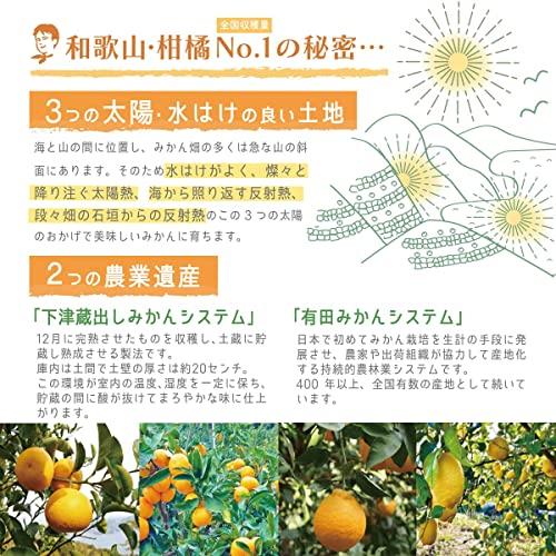 和歌山県産 ソムリエ厳選 柑橘食べ比べ セット 4