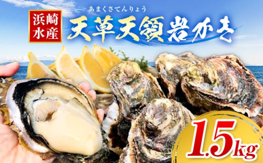 浜崎水産の天草天領岩かき 1